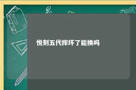 悦刻五代摔坏了能换吗